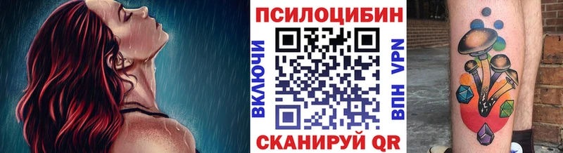 Купить  Энгельс  Псилоцибиновые грибы мицелий 